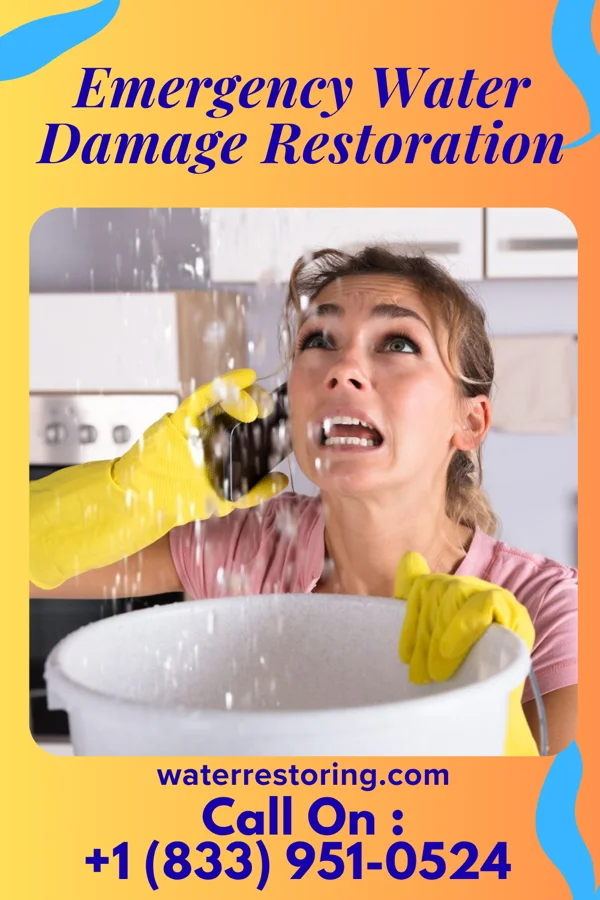 Emergency Water Damage Restoration in Alderson, WV