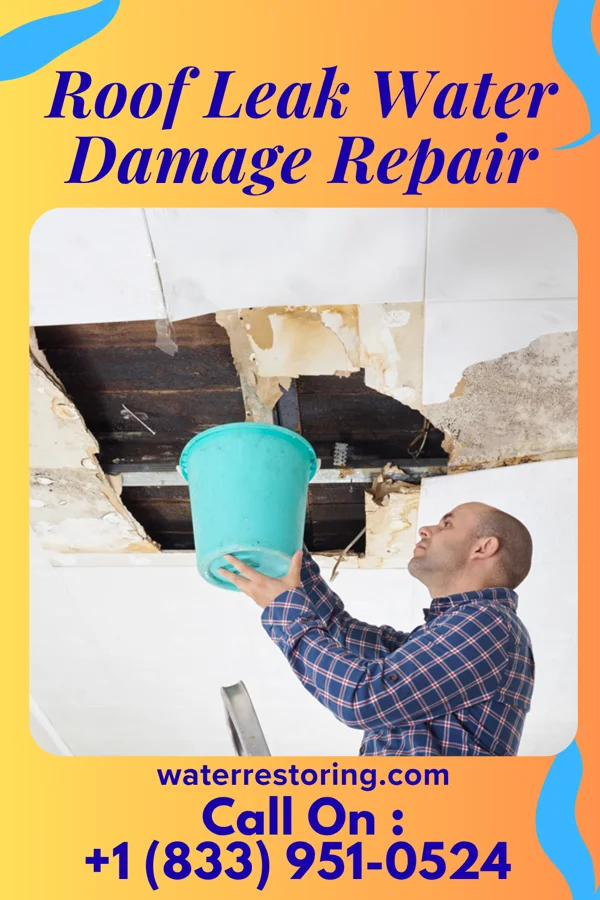 Roof Leak Water Damage Repair in Alderson, WV