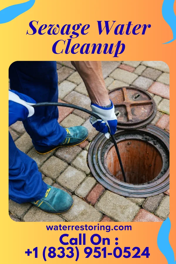 Sewage Water Cleanup in Alderson, WV