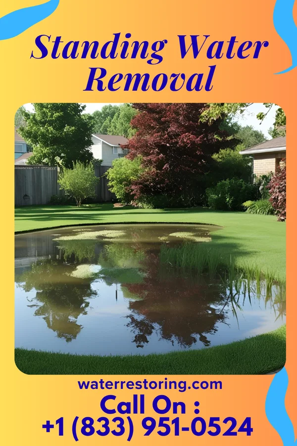 Standing Water Removal in Alderson, WV